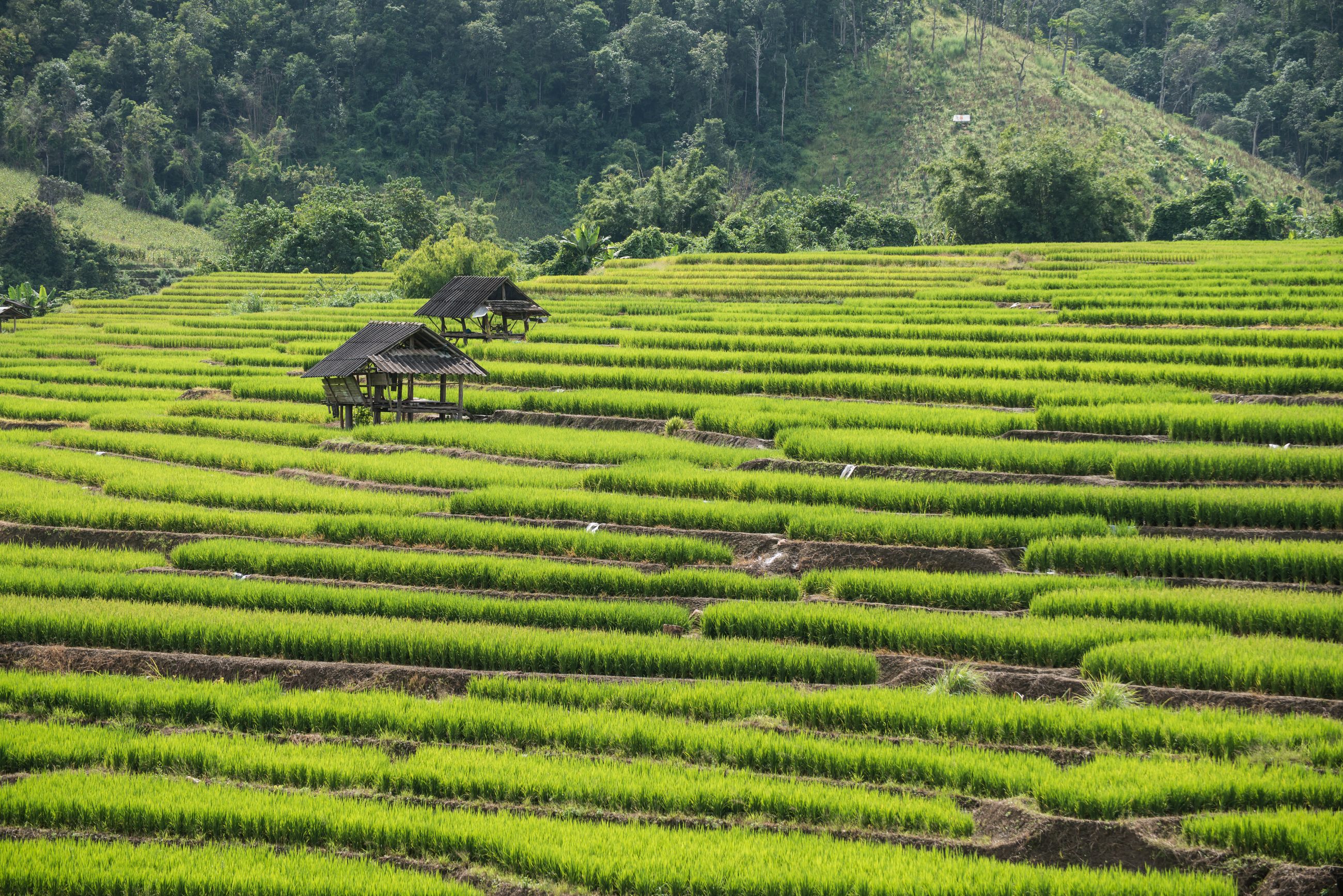 tailandia