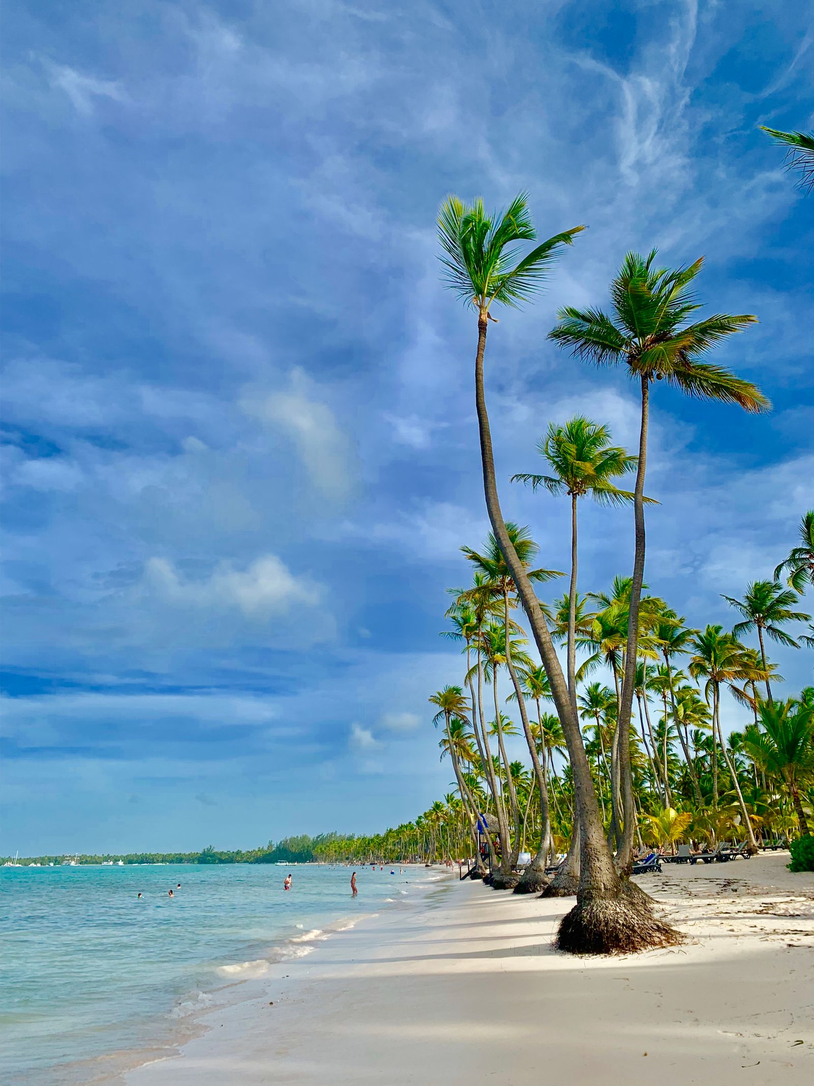 Descubre Punta Cana