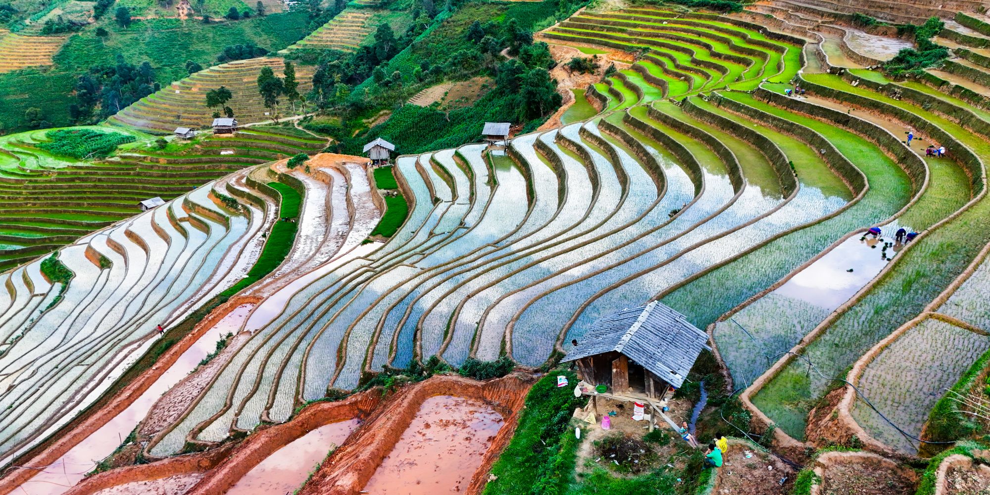 Terrazas de arroz de Mu Cang Chai